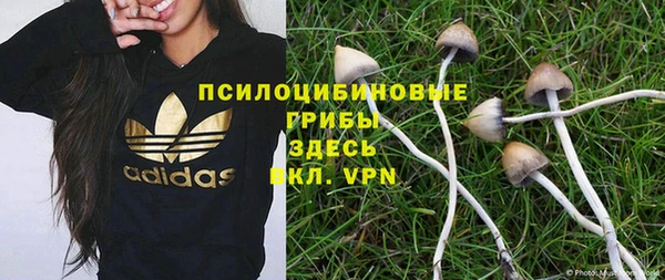 mix Армянск